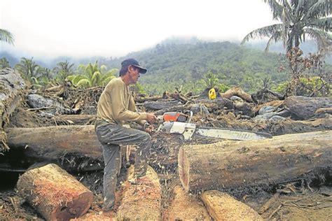 Año Orders Crackdown On Illegal Logging Quarrying Inquirer News