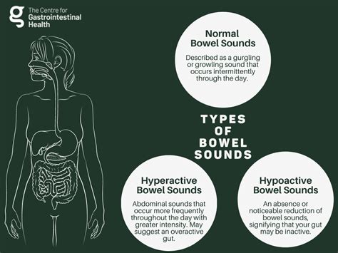 Understanding Your Stomach Noises Centre For Gi Health