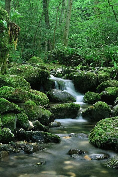 Download Wallpaper 800x1200 Waterfall Stones Flow Moss Iphone 4s4