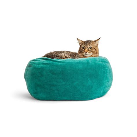 National Cat Day Sale Shop Deals From Amazon Chewy Petco