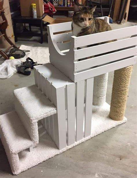 Diy Cat Tower Cats Diy Projects Wood Projects Woodworking Projects