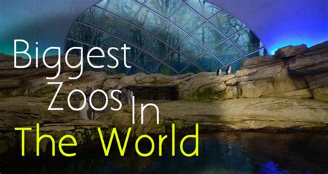 Top 5 Biggest Zoos In The World