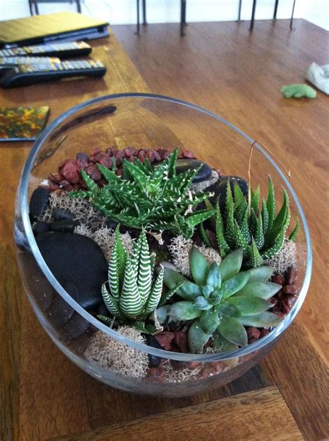 Cactus Terrarium Diy Do It Yourself