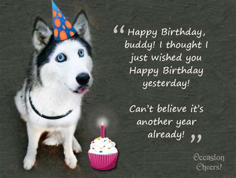 Cute Animals Birthday Wishes For Your Facebook Friends