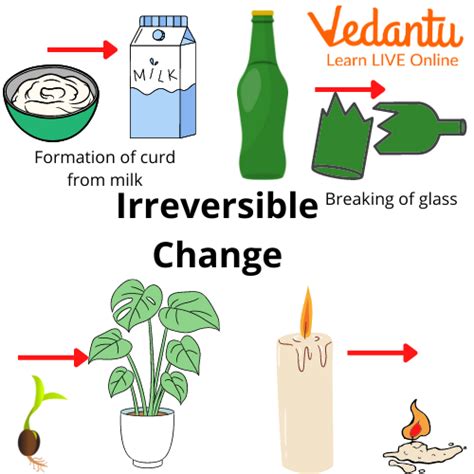 Reversible Changes And Irreversible Changes Learn Important Terms And