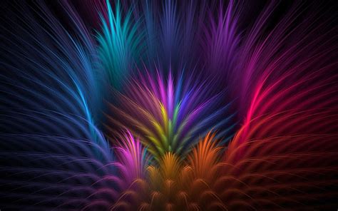 Wallpaper 1920x1200 Px Abstract Colorful Feathers 1920x1200