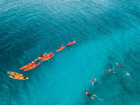 Kayak Tours In Puerto Rico From San Juan I Ventures