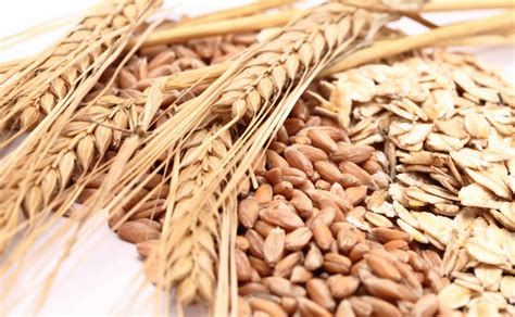 Avoid foods that contain wheat or any of these ingredients:bread crumbs.bulgur.cereal extract.club wheat.couscous.cracker meal.durum.einkorn. Wheat Allergies: Signs, Symptoms, and Management - America ...