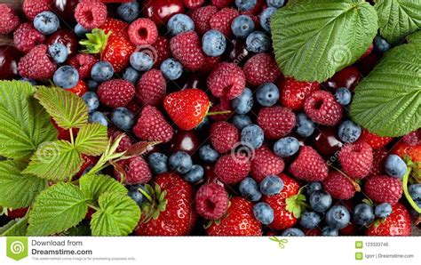 Berries Closeup Colorful Assorted Mix Stock Photo Image Of