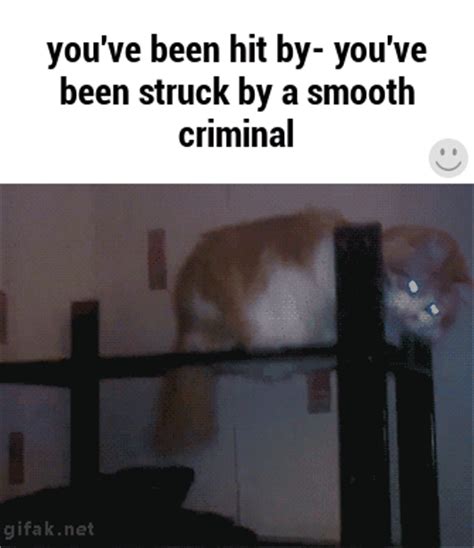 You've been hit by- you've been struck by a smooth criminal - iFunny :) | Criminal, Giphy, Ifunny