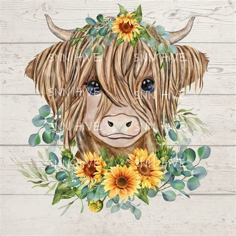 Highland Cow With Sunflowers Png Sunflower Sublimation Etsy In 2022