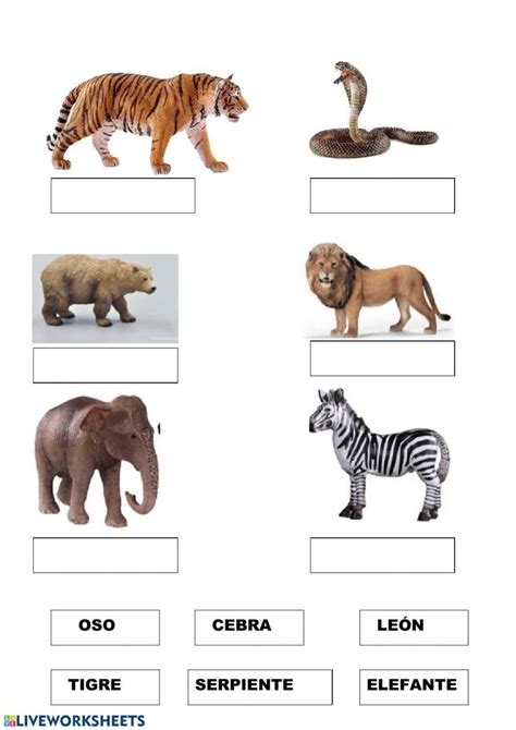 The Animals And Their Names Are Shown In This Graphic Below Its An Image
