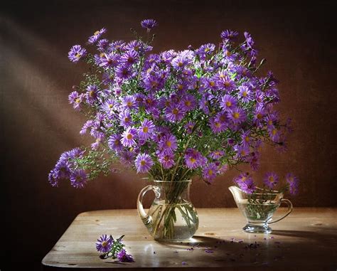 3840x2160px 4k Free Download Aster Purple Still Life Autumn