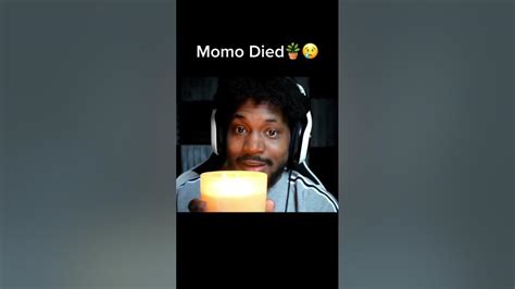 Coryxkenshins Plant Momo Died 😔 Youtube