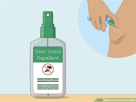 How To Prevent Flea Bites On Humans And Pets