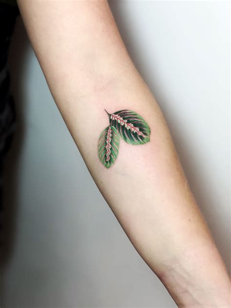 Praying Plant In 2020 Feminine Tattoos Botanical Tattoo Tattoos