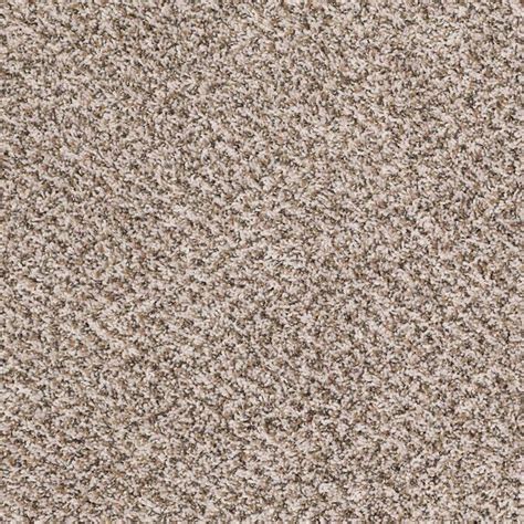 Shaw Thunderstruck Rr Impact Textured Carpet Sample Interior In The