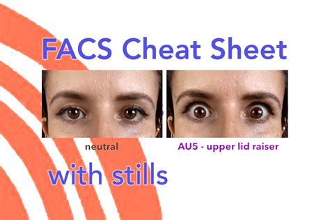 Facs Cheat Sheet Face The Facs