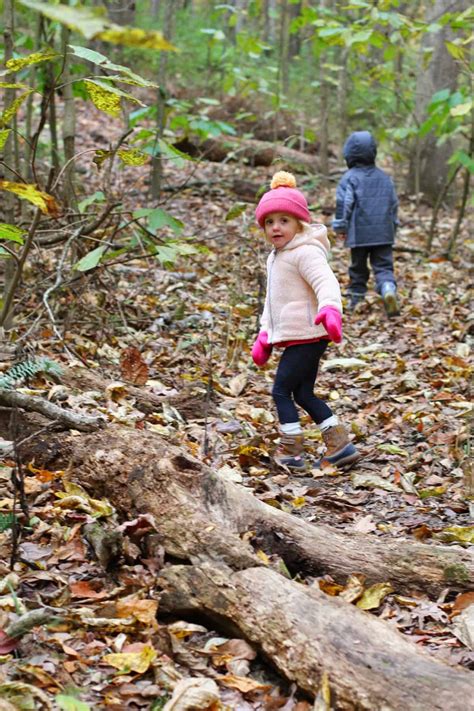 A Beginners Guide To Hiking With Kids Run Wild My Child