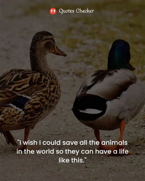 40 Quotes About Saving Animals To Create Awareness 2023