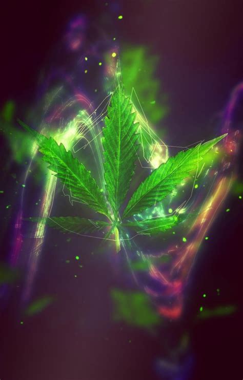 Weed 4k Wallpapers Wallpaper Cave Ec6