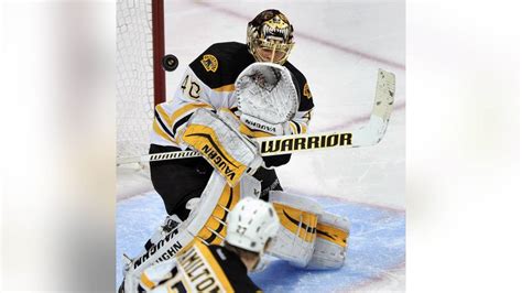 Newly Discovered Wasp Named After Boston Bruins Goalie Rask Fox News