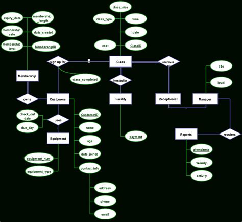 Er Diagram Of Gym Management System Entity Relationship Diagram Riset