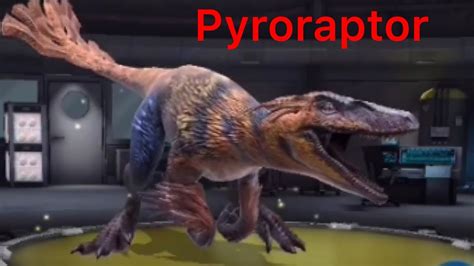 Pyroraptor Showcase Jurassic World Alive Gameplay Youtube