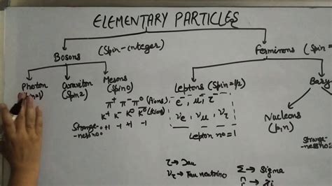Classification Of Elementary Particles Youtube