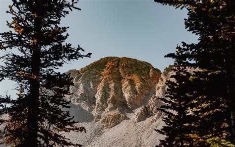 Download Wallpaper 3840x2400 Mountain Rocks Spruce Trees Stones 4k