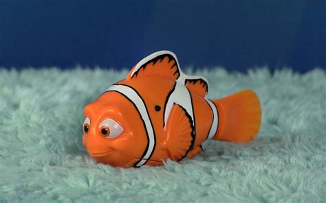 Finding Nemo Fish In The Tank Internipod