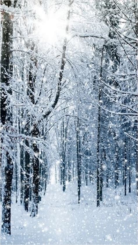 Winter Wonderland Pictures Wallpaper Sf Wallpaper