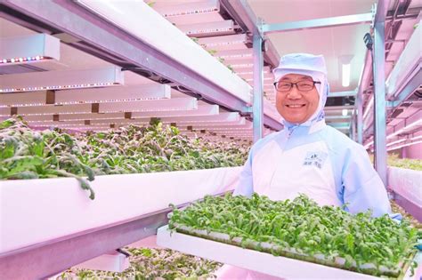 Futuristic Japanese Indoor Vertical Farm Produces 12000 Heads Of