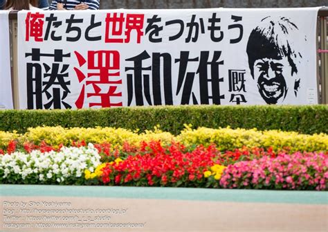 See more of ノックス葵（就労移行支援事業所） on facebook. 【葵ステークス2020予想】ビップウインクの末脚さく裂
