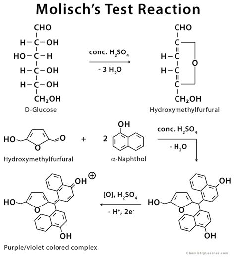 QUALITATIVE TESTS FOR CARBOHYDRATES Sciencevivid 2023