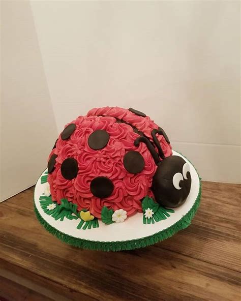 Ladybug Cake Bug Birthday Cakes Ladybug Cake Ladybug Cakes