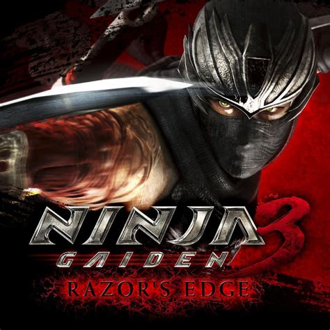 Ninja Gaiden Master Collection 2021 Box Cover Art Mobygames
