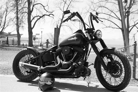 Best harley for beginner rider,. Best Harley-Davidson Motorcycles For Beginner Riders