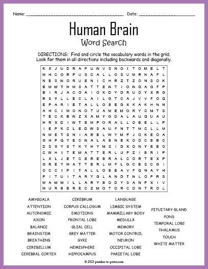 Human Brain Word Search