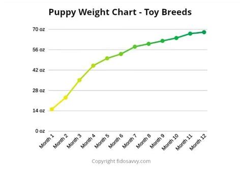 You can expect an average motorcycle weight to be about 400 pounds (181 kg). Puppy Weight Chart