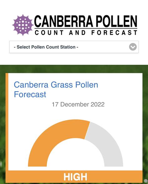 Canberra Pollen On Twitter At Last We Can Finally Say That The Grass