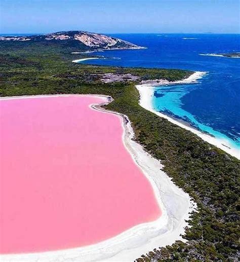 O Misterioso Lago Rosado Na Austrália Que Atrai Milhares De Turistas