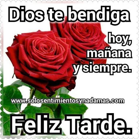 Dios Te Bendiga Hoy Mañana Y Siempre Dios Te Bendiga Te Bendigo