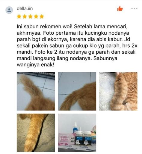 Jual Degreaser Kucing Sabun Pink Posha Cat Mengatasi Stud Tail