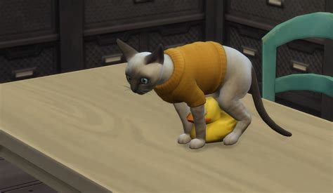 Wickedwhims Cat Edition Thesims
