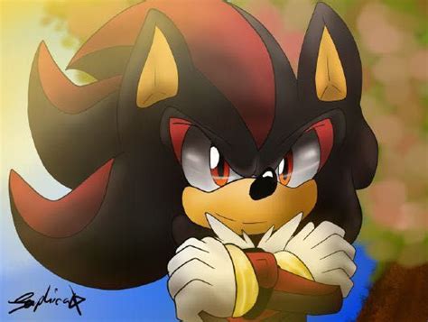 Shadow The Hedgehog X Reader Silver Heart The Truth And Acceptance