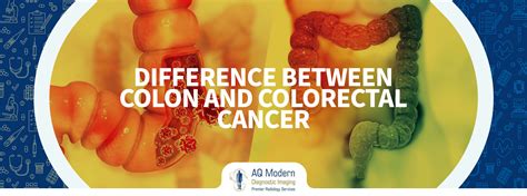 Difference Between Colon And Colorectal Cancer Aqmdi Blogs
