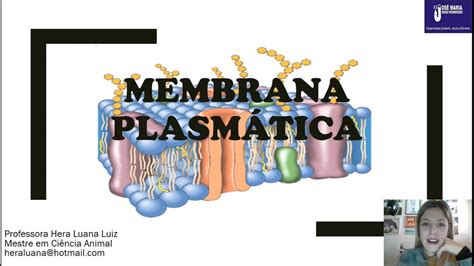 Citologia Membrana Plasmática 1º Ano Em Youtube