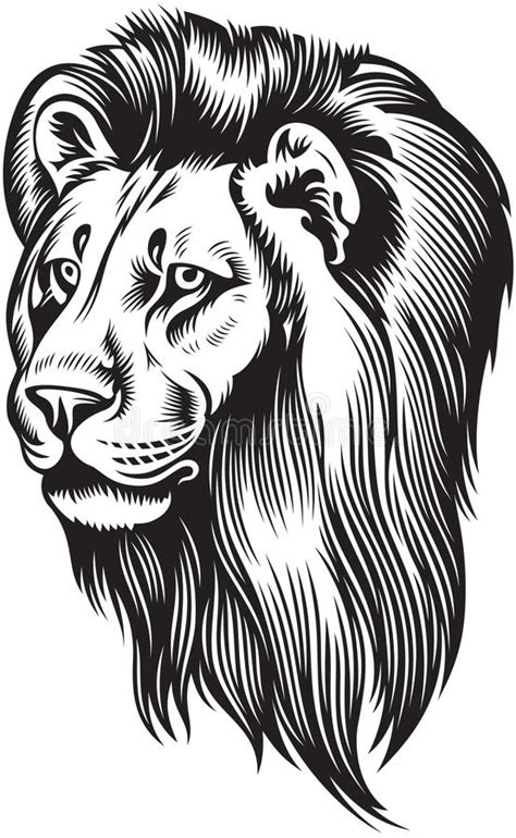 Lion Mane Silhouette Lion Clipart Black And White Asapmaid