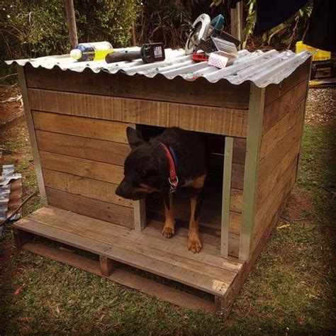 A must see idea,easy,chep and fun project for your hole family. DIY Pallet Dog House Unique Ideas | Pallets Designs